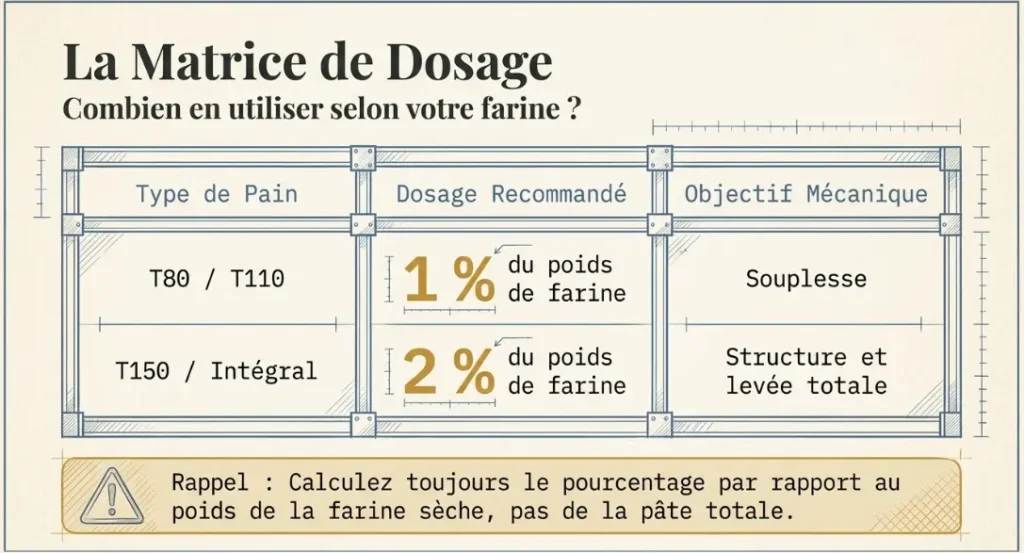 dosage du gluten en poudre selon le type de farine pour pain IG bas