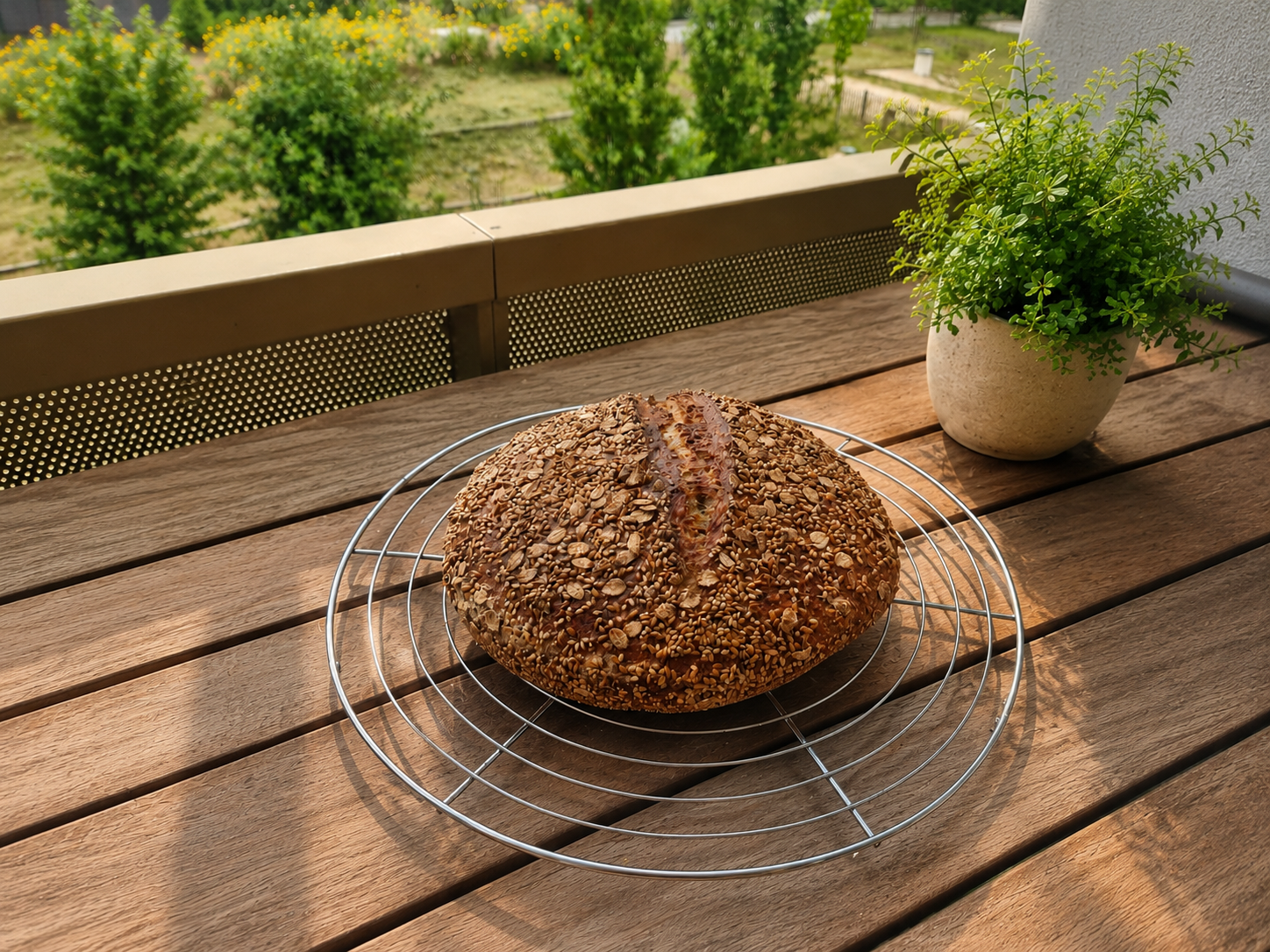 Le Malté, pain aux graines au levain naturel, malt d’orge torréfié et graines toastées.